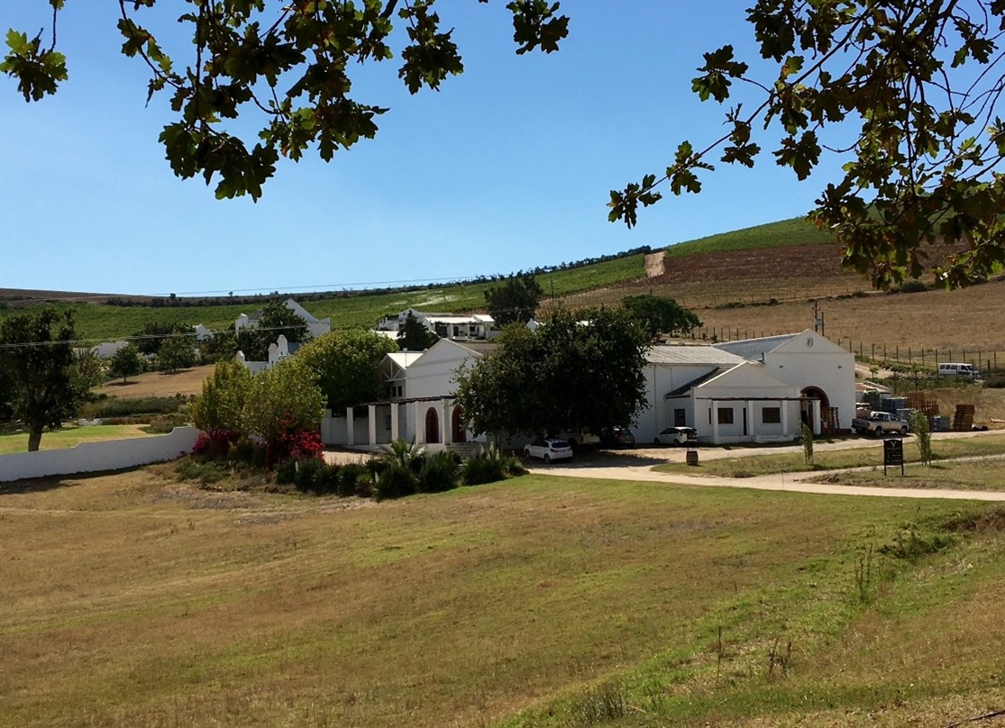 Medlemskveld: Sør Afrika